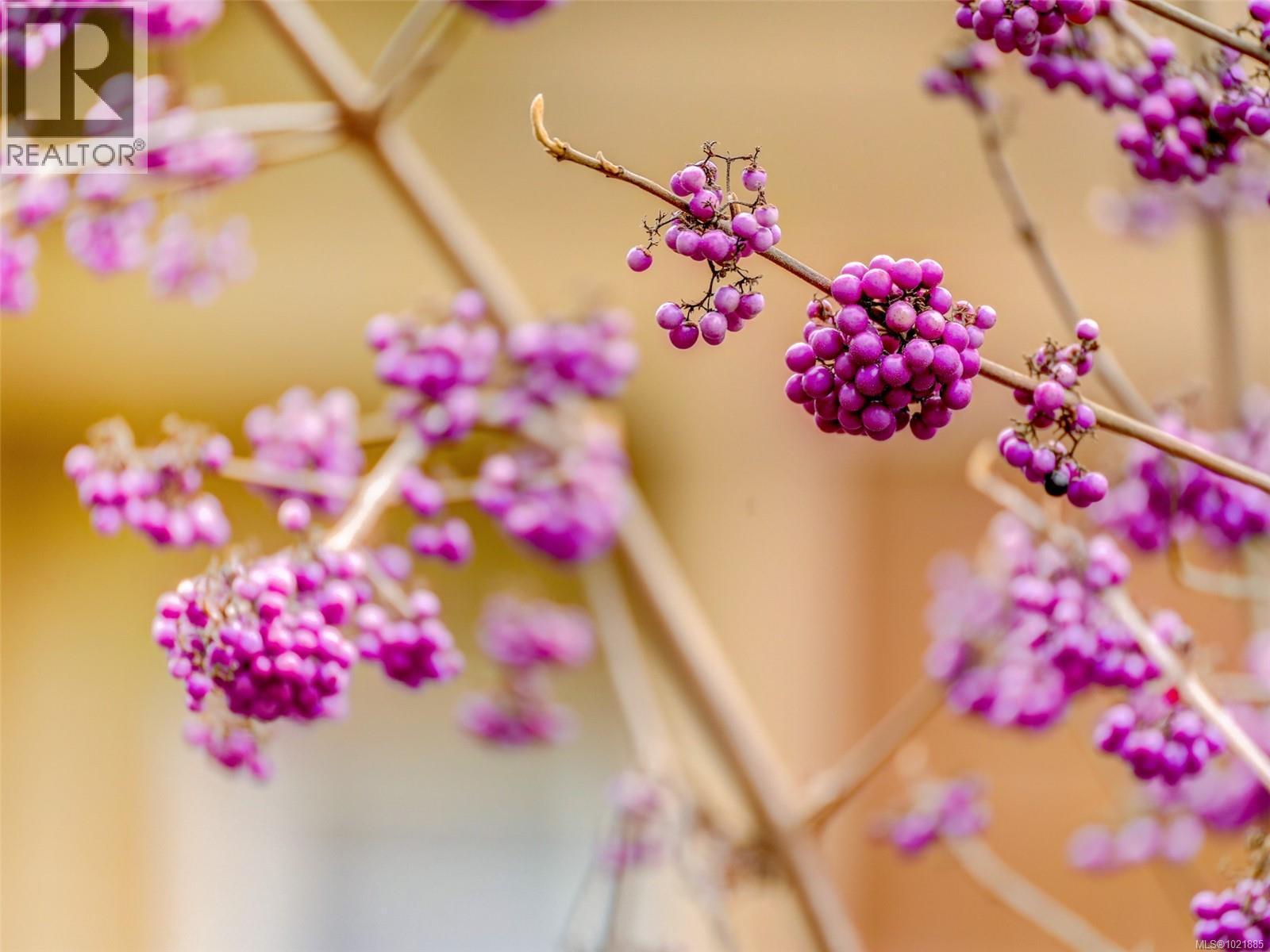 25 1286 Tolmie Ave, Saanich, BC - Indoor Photo Showing Bathroom
