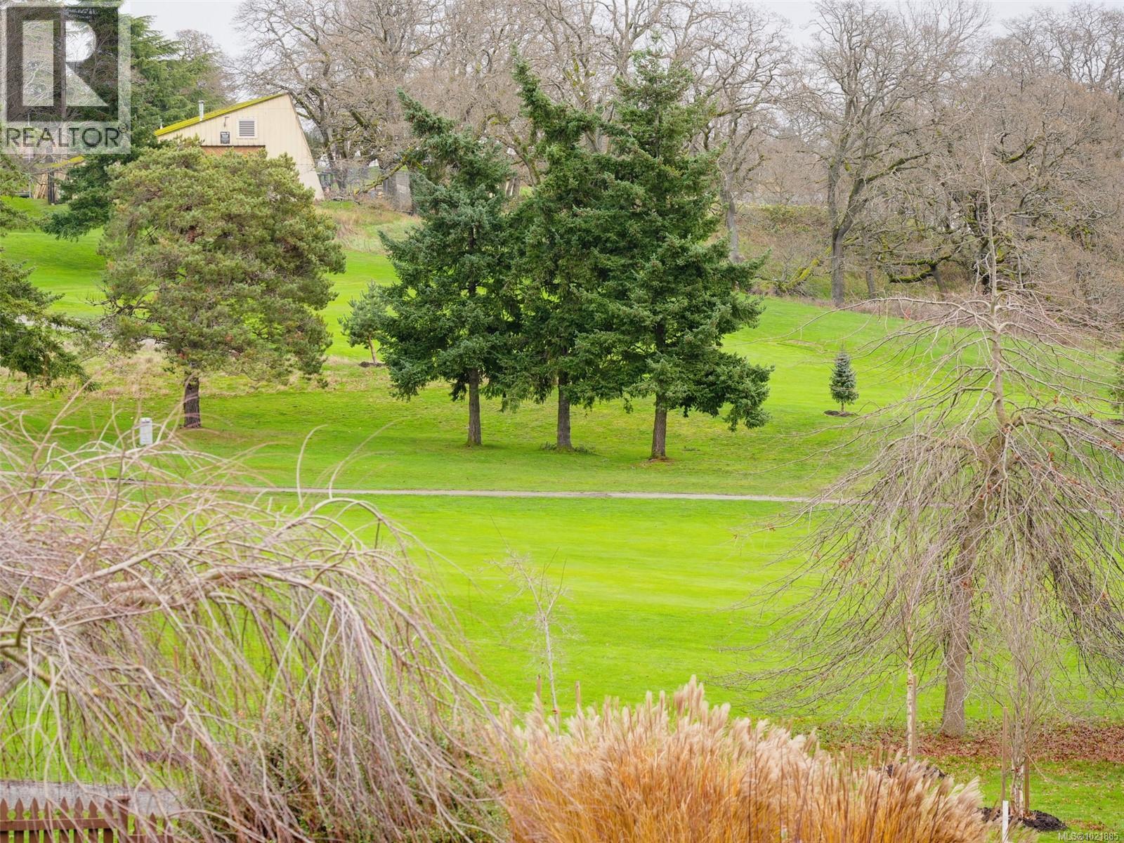 25 1286 Tolmie Ave, Saanich, BC - Outdoor With View