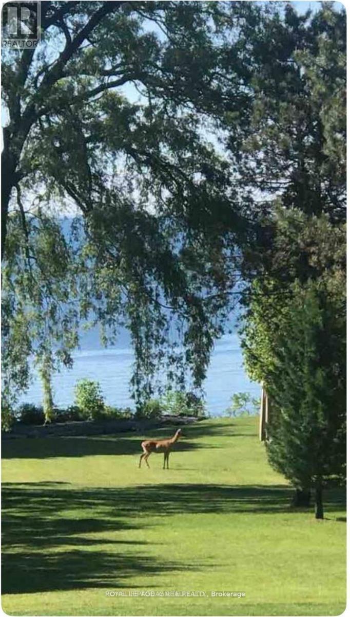 Bsmt - 63 Sylvan Avenue, Toronto, ON - Outdoor With View