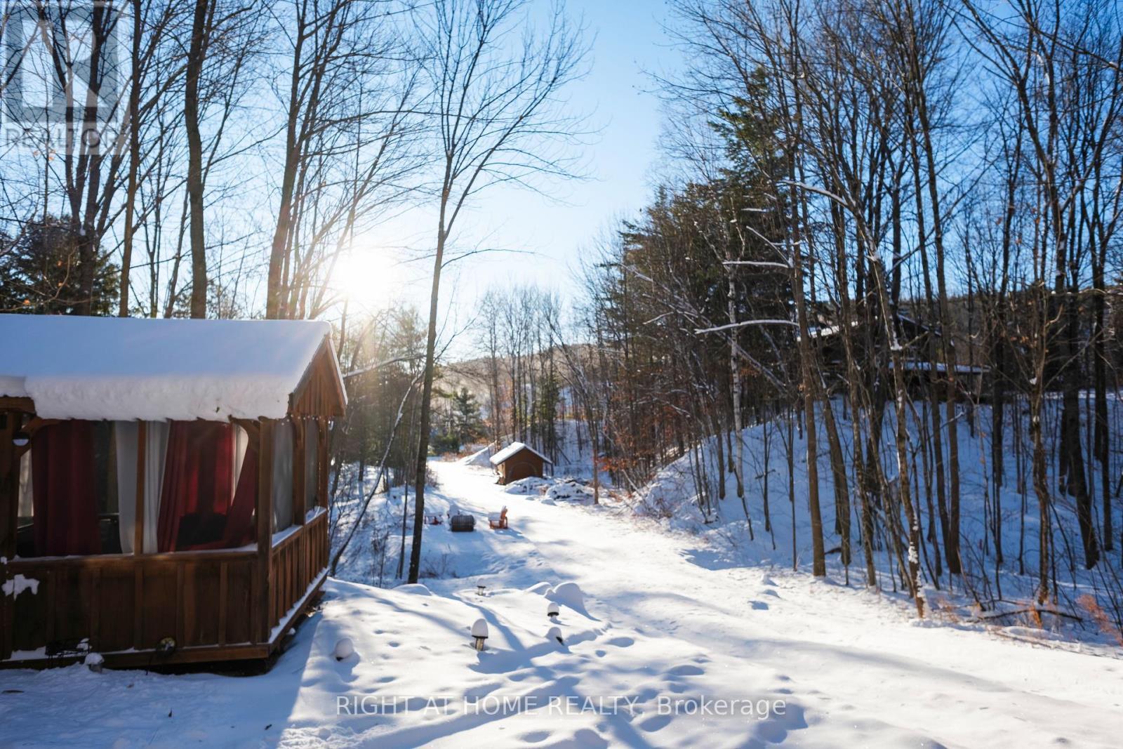 Back Yard - 72 Viewmount Drive, Greater Madawaska, ON - Outdoor
