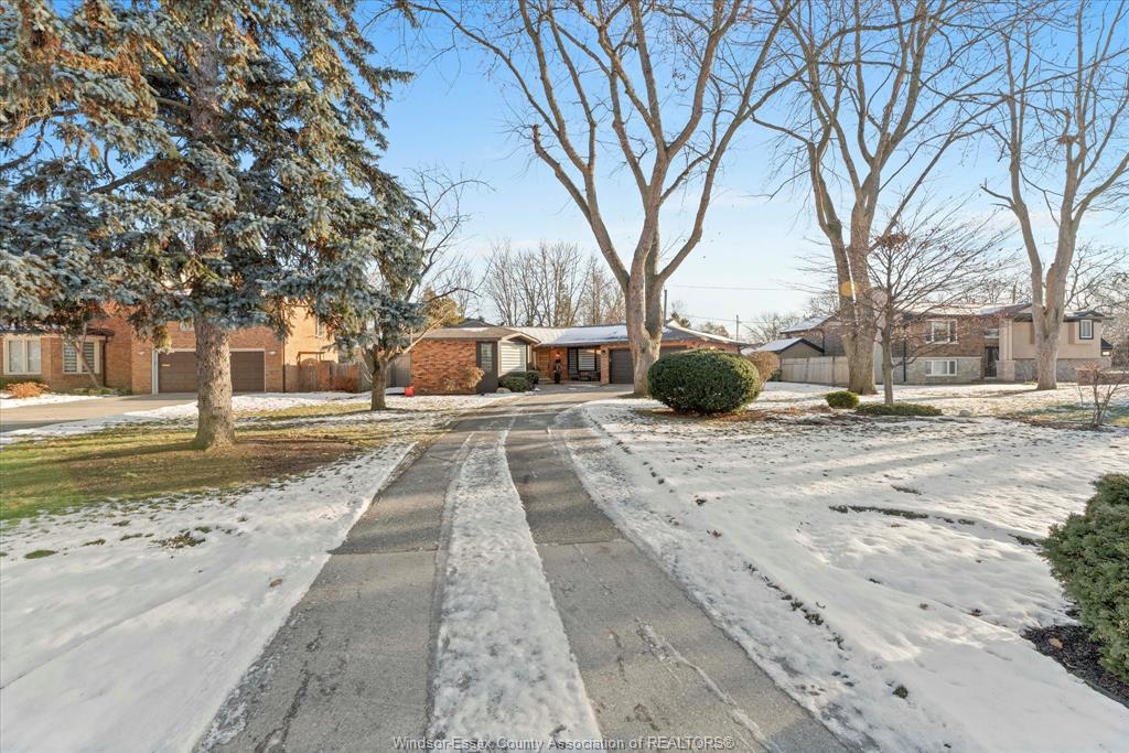 3480 Ouellette Avenue, Windsor, ON