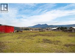 Large flat yard view from back door out of garage -
