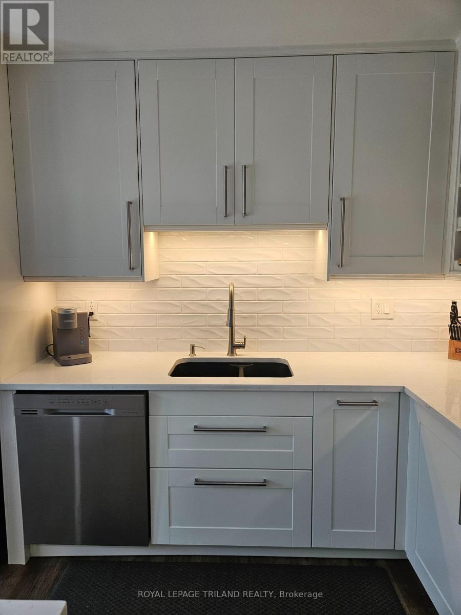 17 - 163 Pine Valley Drive, London South (South N), ON - Indoor Photo Showing Kitchen With Double Sink