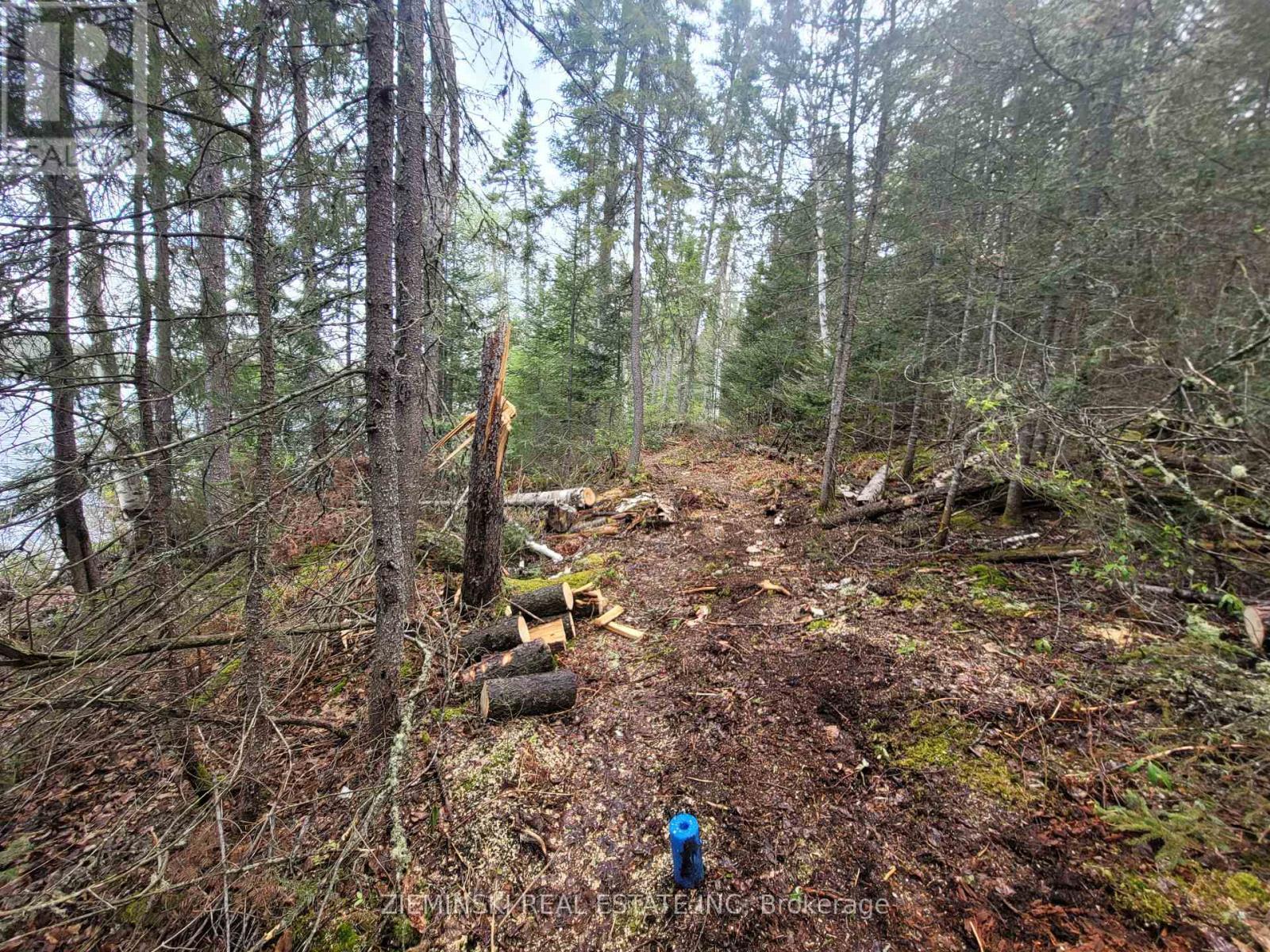 24217 Parcel, Timiskaming (Tim - Outside - Rural), ON - Outdoor With View