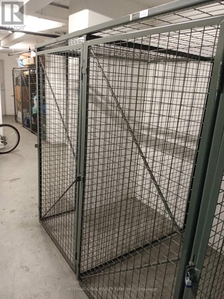 2 Lockers - 816 - 30 Shore Breeze Drive, Toronto, ON - Indoor