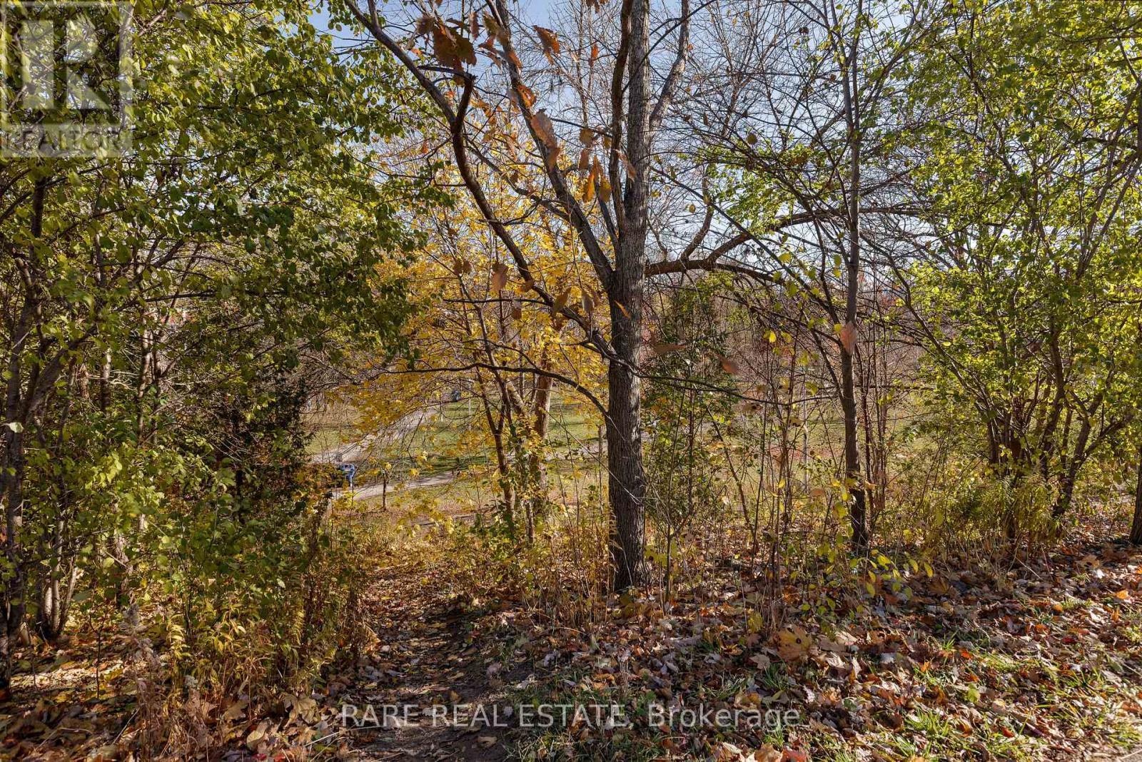 Laneway - 451 Montrose Avenue, Toronto, ON - Outdoor With View