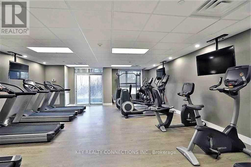 Gym - 225 - 101 Shoreview Place, Hamilton, ON - Indoor Photo Showing Gym Room