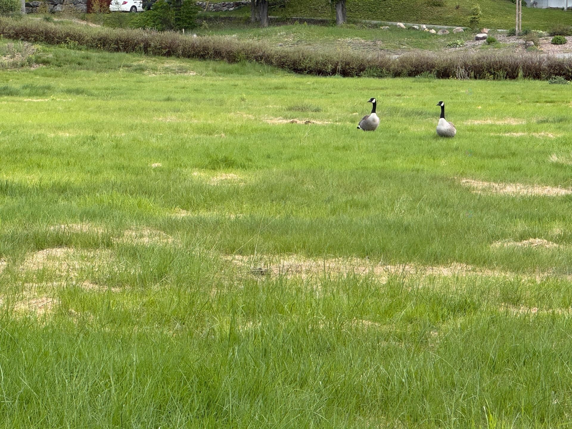 Lot - Rue De La Vallée, Sainte-Adèle, QC