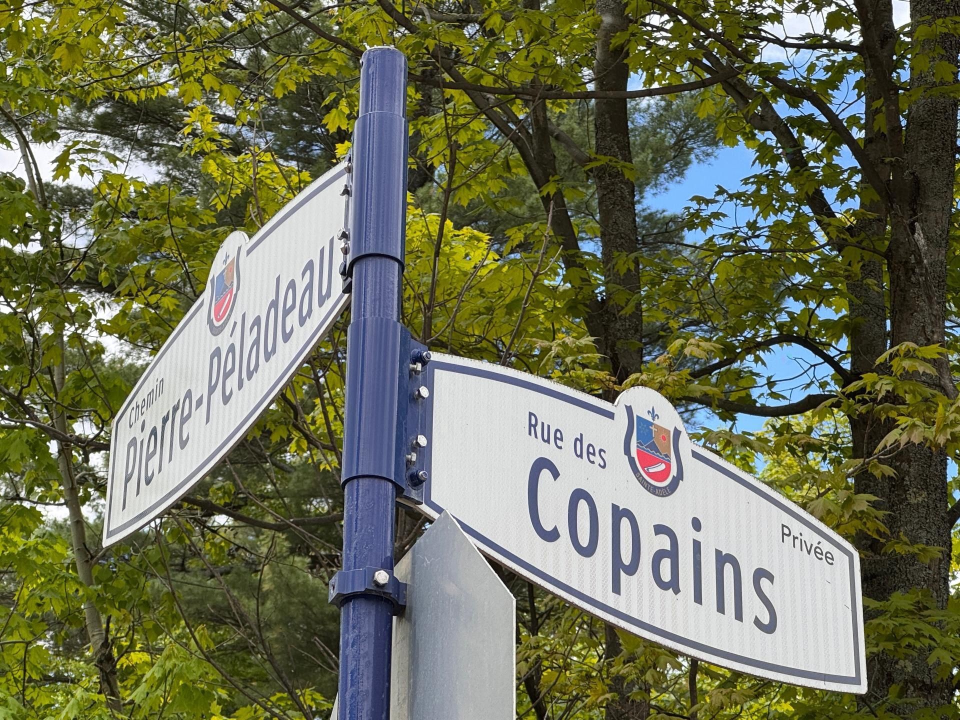 Street - Rue De La Vallée, Sainte-Adèle, QC
