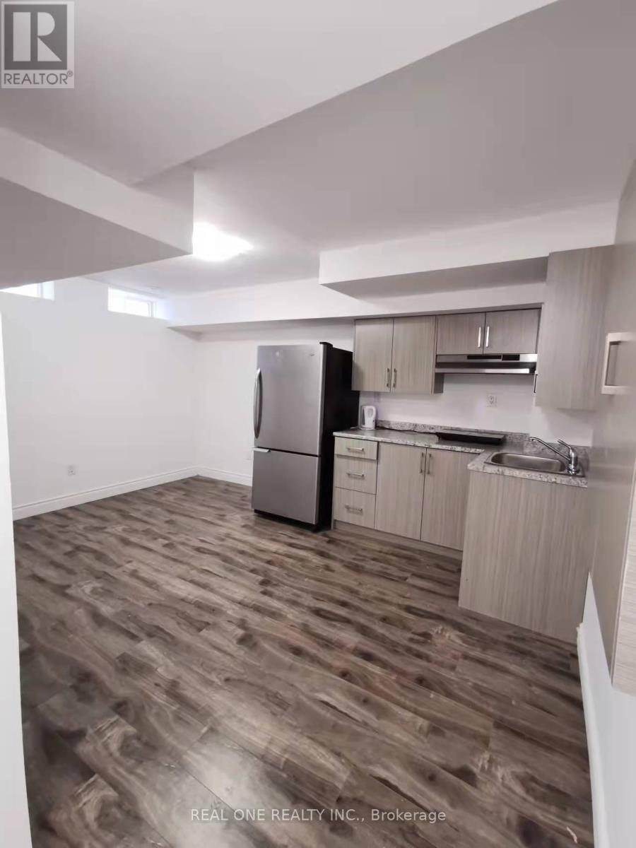 209 Harding Park Street, Newmarket, ON - Indoor Photo Showing Kitchen