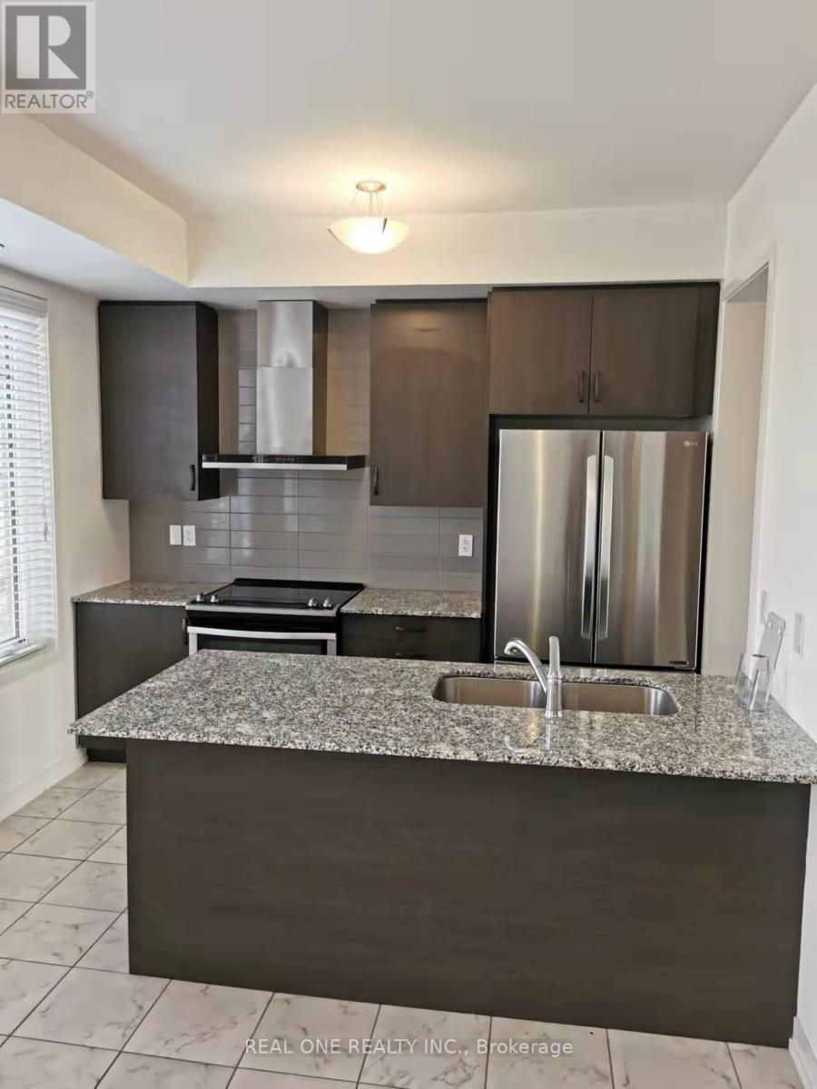 209 Harding Park Street, Newmarket, ON - Indoor Photo Showing Kitchen With Double Sink With Upgraded Kitchen