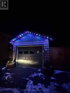 Gemstone lights, garage -