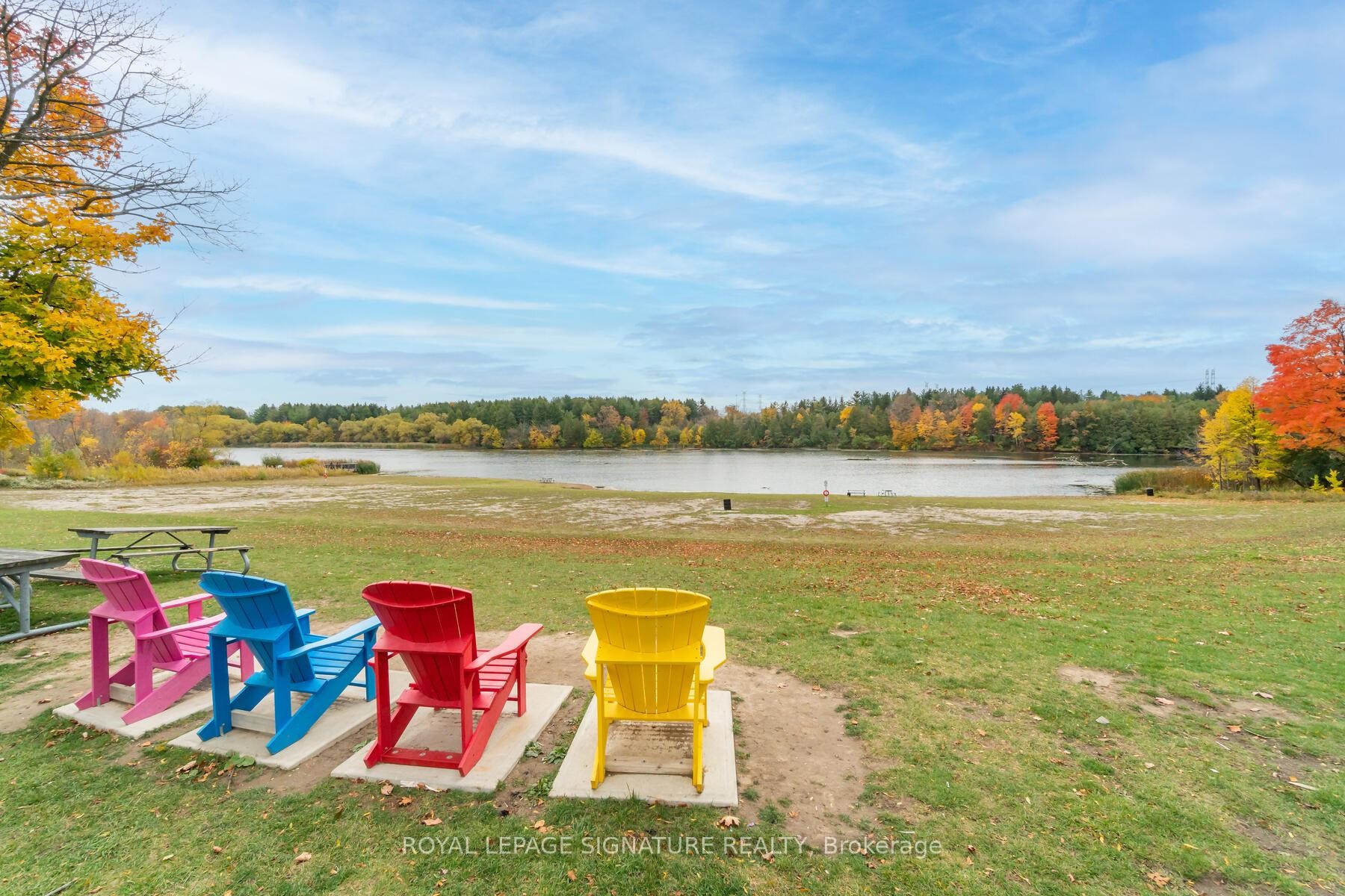 62 Summerlea Street, Markham, ON - Outdoor With View