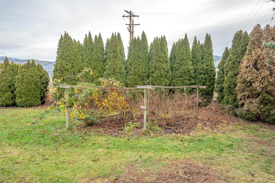 824 Road 2, Oliver, BC - Outdoor With View