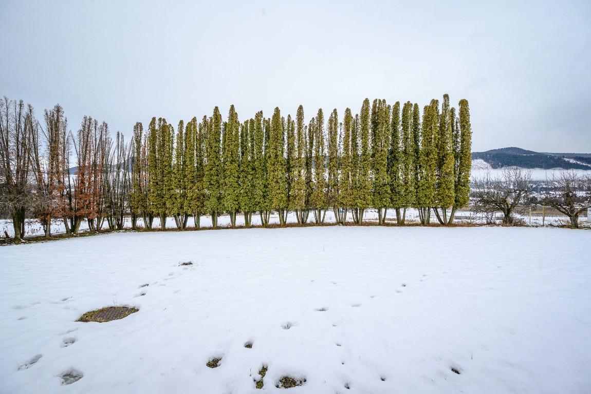 6920 Buchanan Road, Coldstream, BC - Outdoor With View