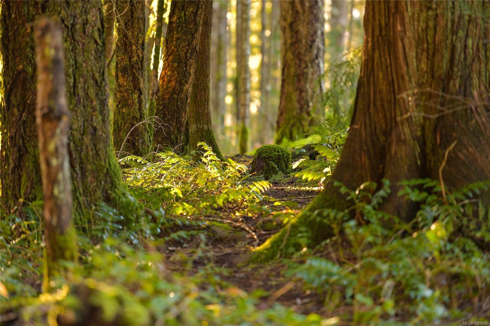 3795 Glenora Rd, Duncan, BC