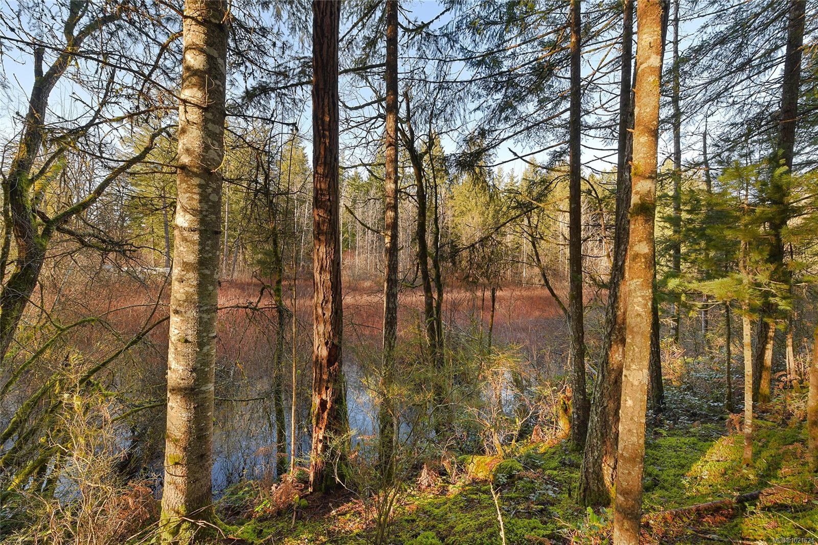 3795 Glenora Rd, Duncan, BC