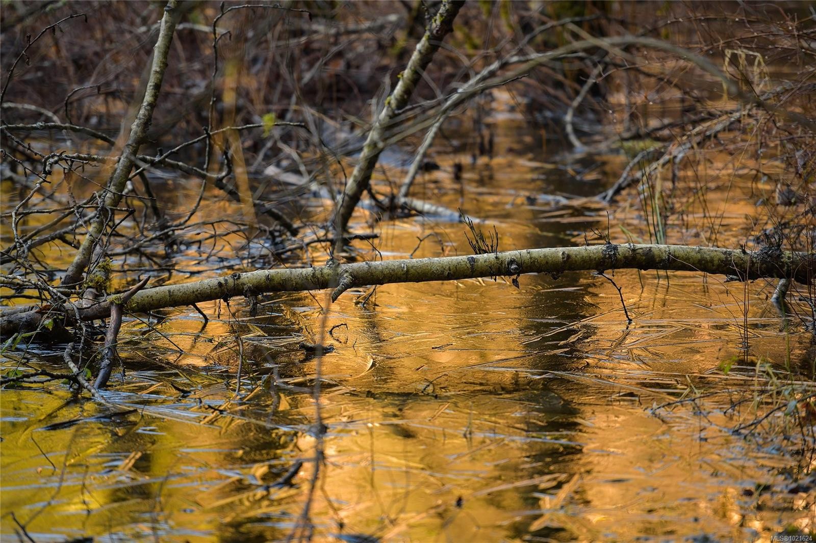 3795 Glenora Rd, Duncan, BC