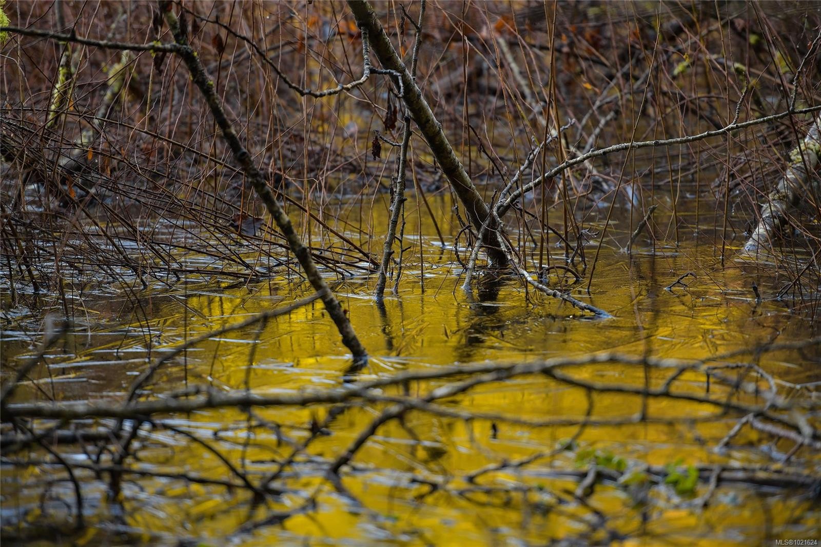 3795 Glenora Rd, Duncan, BC