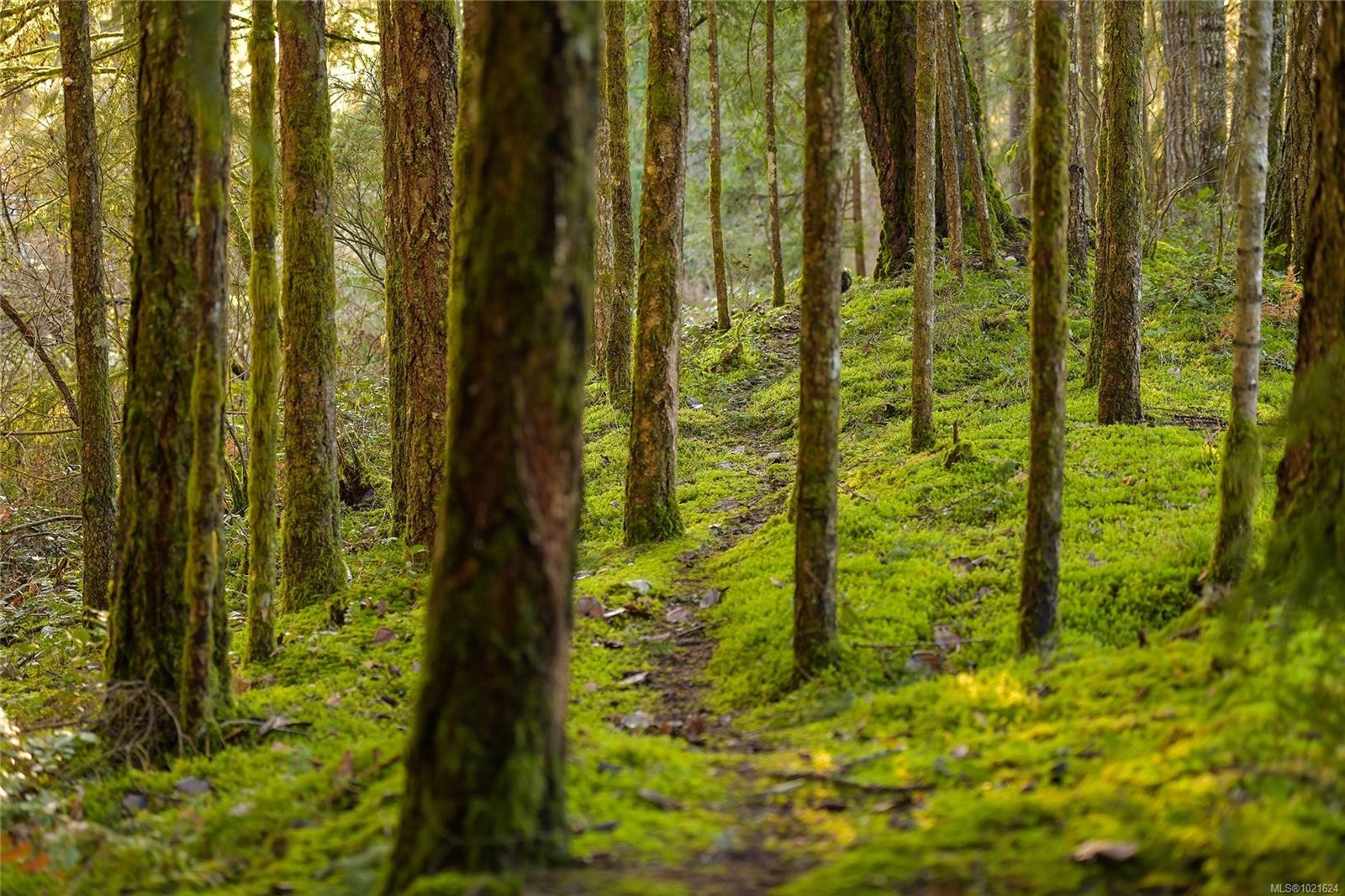 3795 Glenora Rd, Duncan, BC