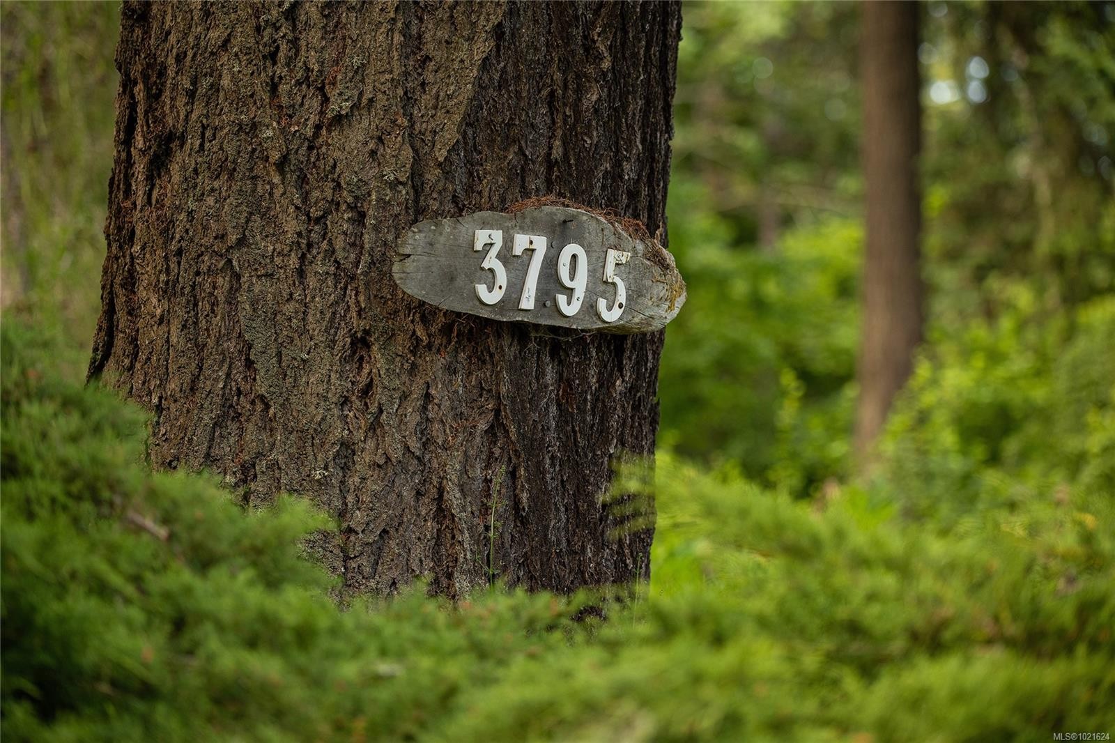 3795 Glenora Rd, Duncan, BC