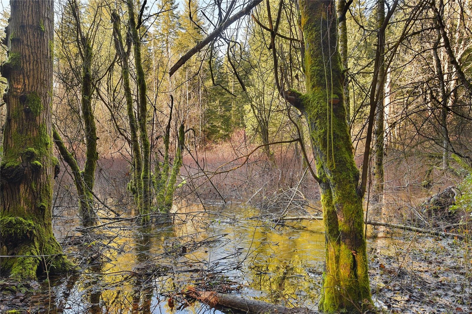 3795 Glenora Rd, Duncan, BC