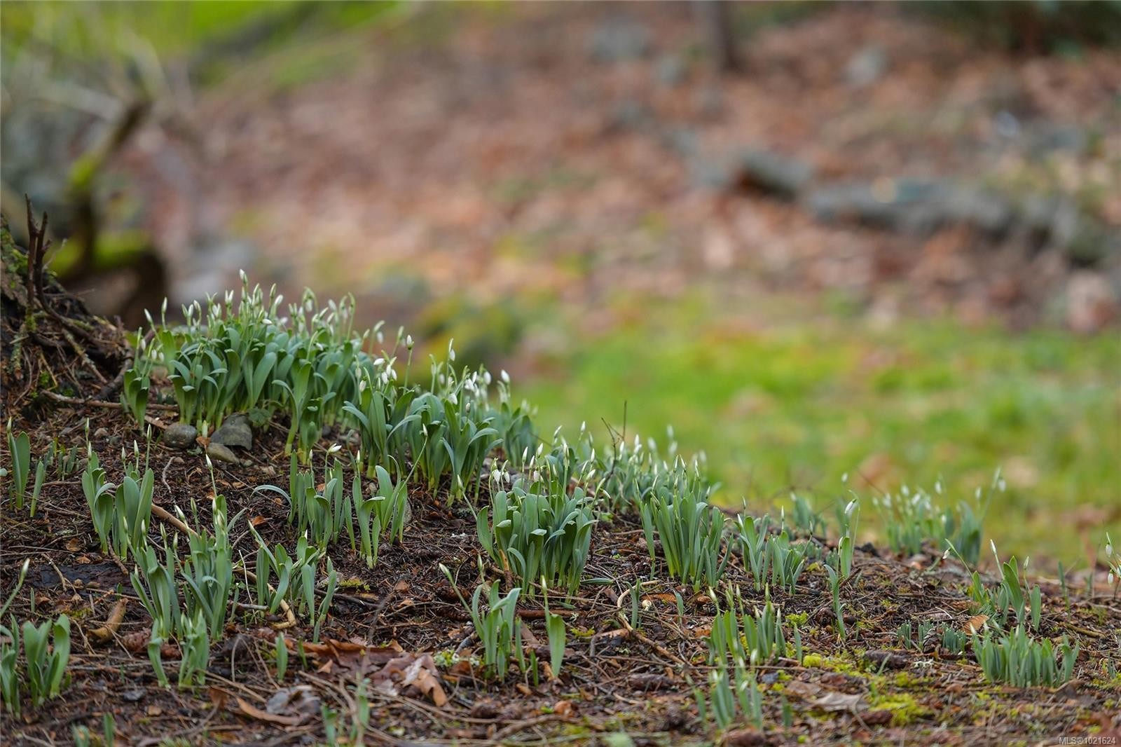 3795 Glenora Rd, Duncan, BC