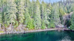 1309 Gorge Harbour Rd Cortes Island, BC V0P 1K0