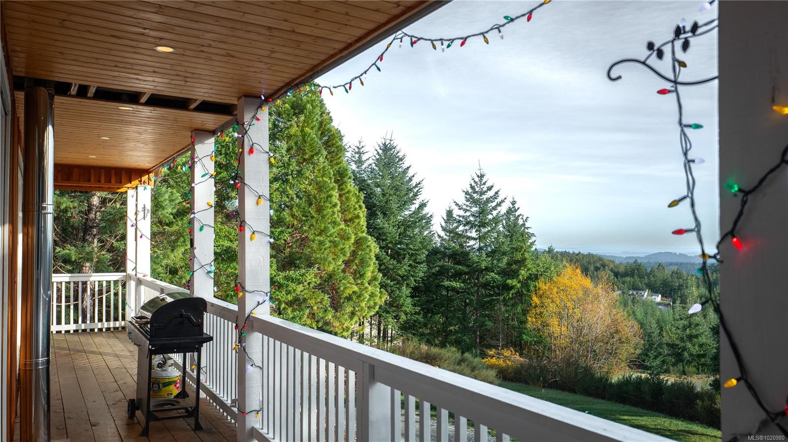 1550 Olympic Dr, Shawnigan Lake, BC