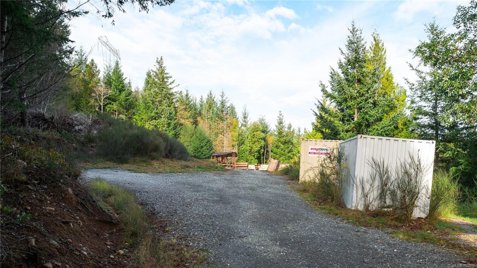 1550 Olympic Dr, Shawnigan Lake, BC