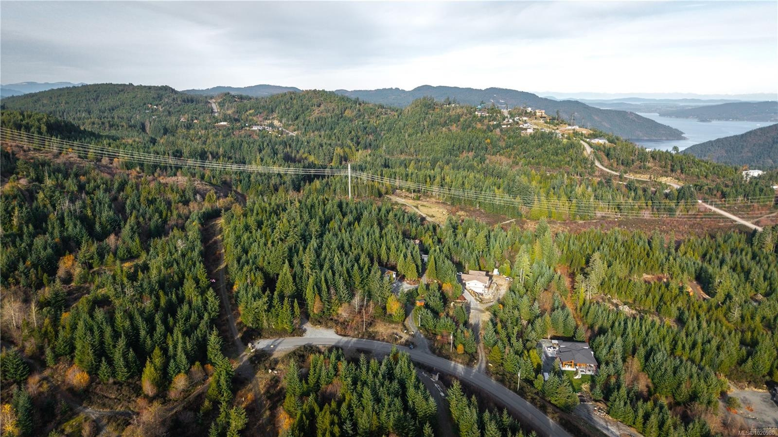 1550 Olympic Dr, Shawnigan Lake, BC