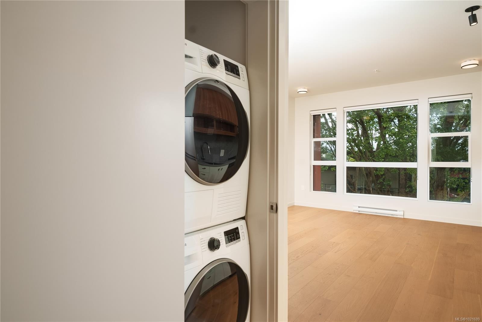 203-629 Speed Ave, Victoria, BC - Indoor Photo Showing Laundry Room