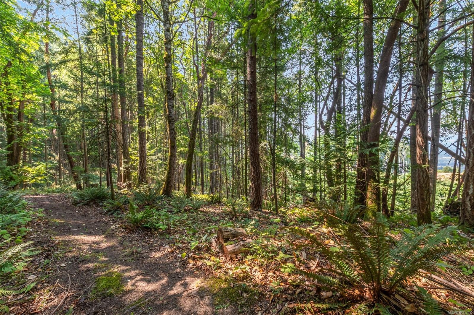 4961 Aho Rd, Ladysmith, BC