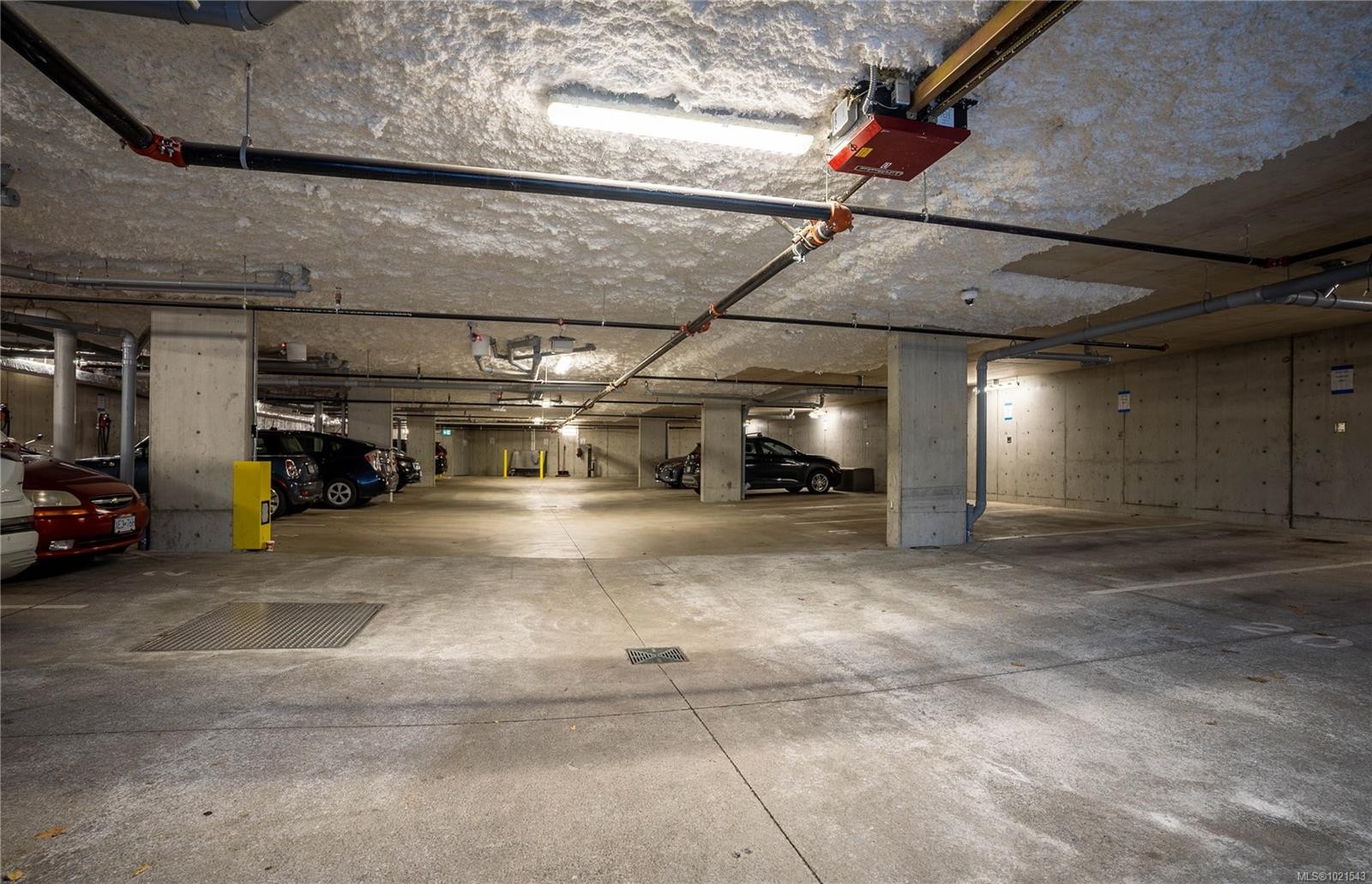 1303 Hillside Ave, Victoria, BC