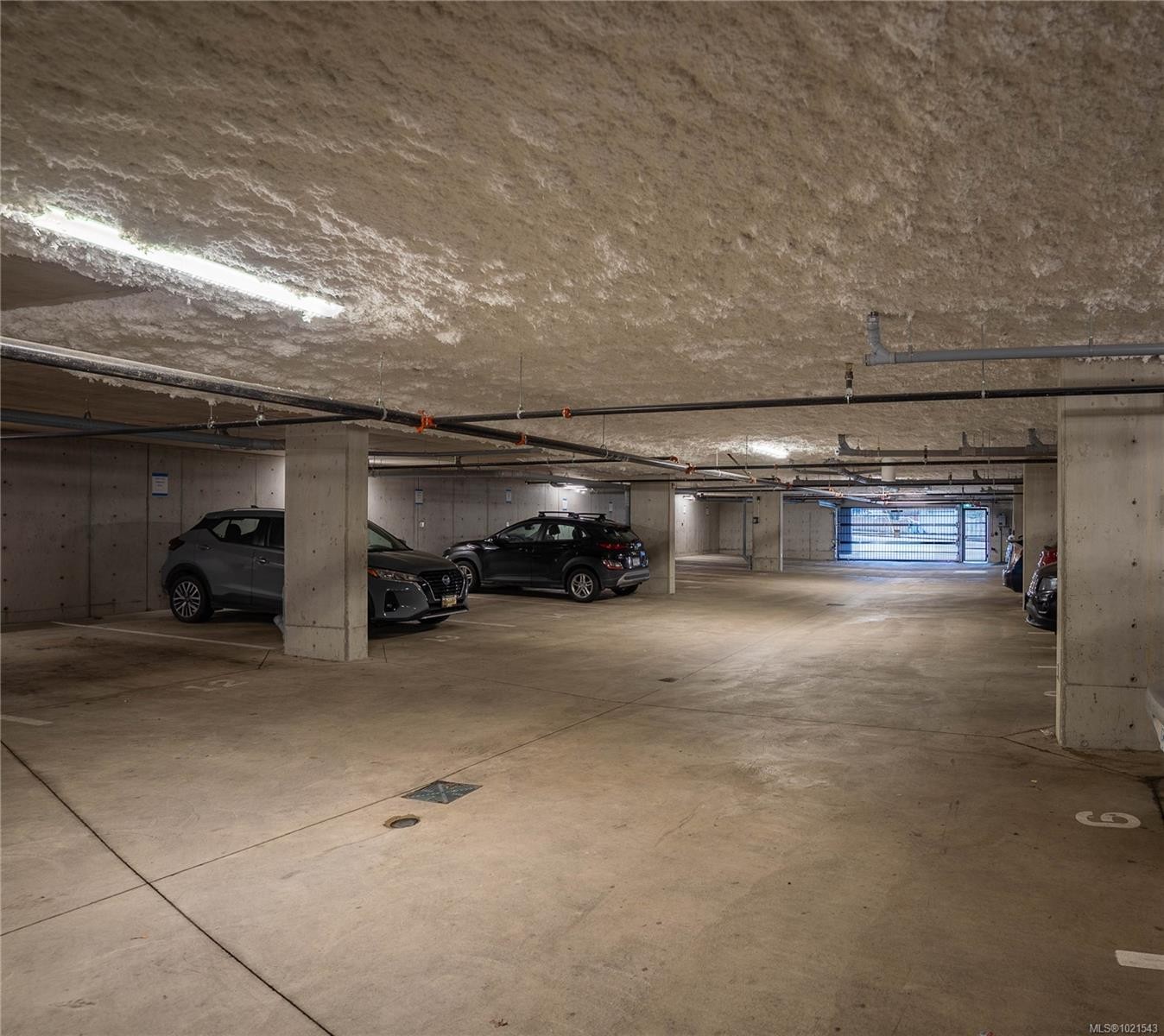 1303 Hillside Ave, Victoria, BC