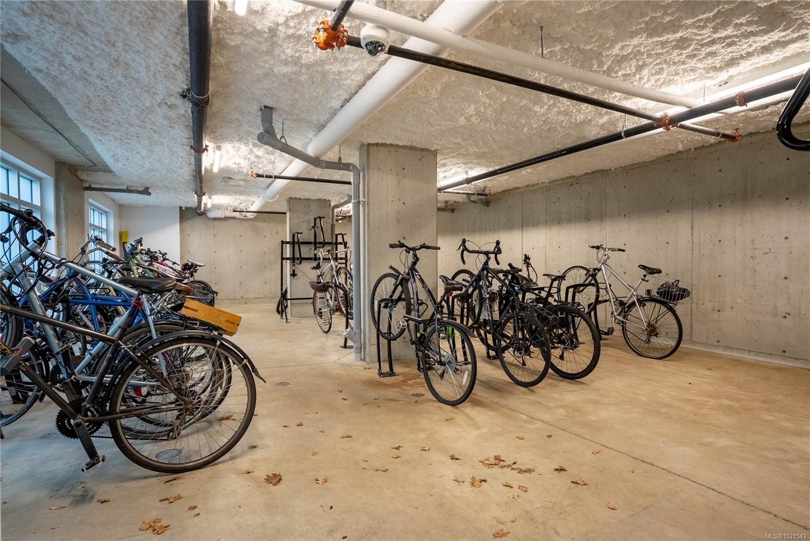 1303 Hillside Ave, Victoria, BC