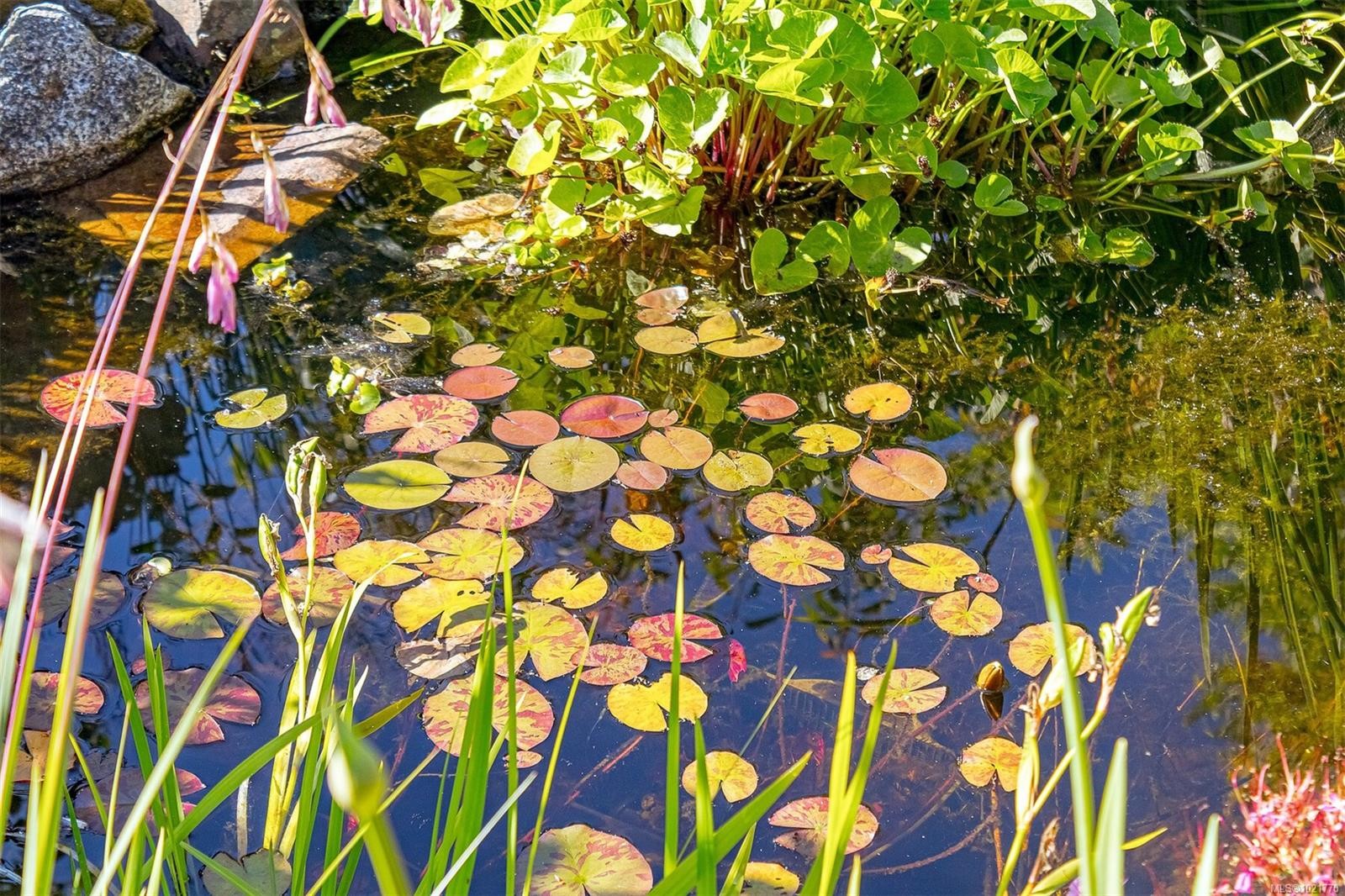 1961 Hovey Rd, Central Saanich, BC