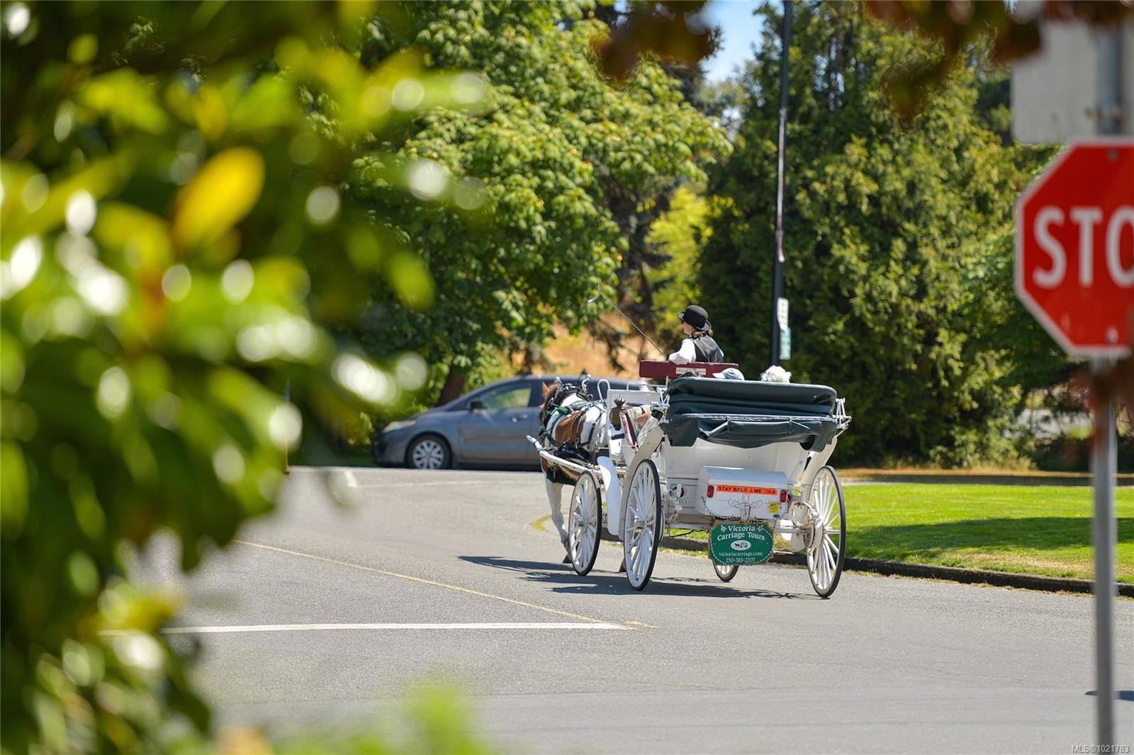 101-200 Douglas St, Victoria, BC - Outdoor