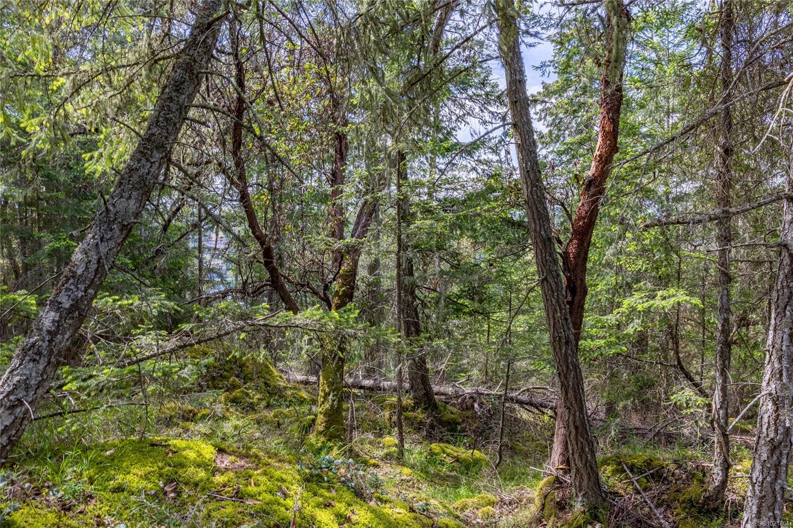 8804 Ainslie Point Rd, Pender Island, BC