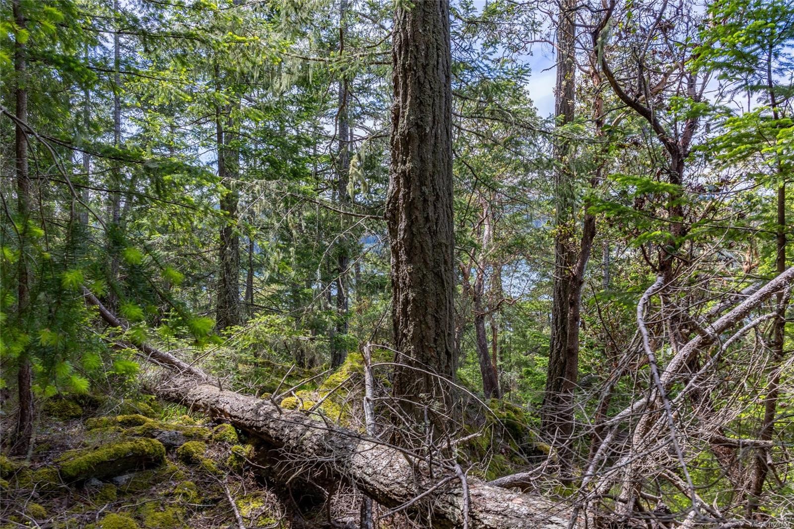 8804 Ainslie Point Rd, Pender Island, BC