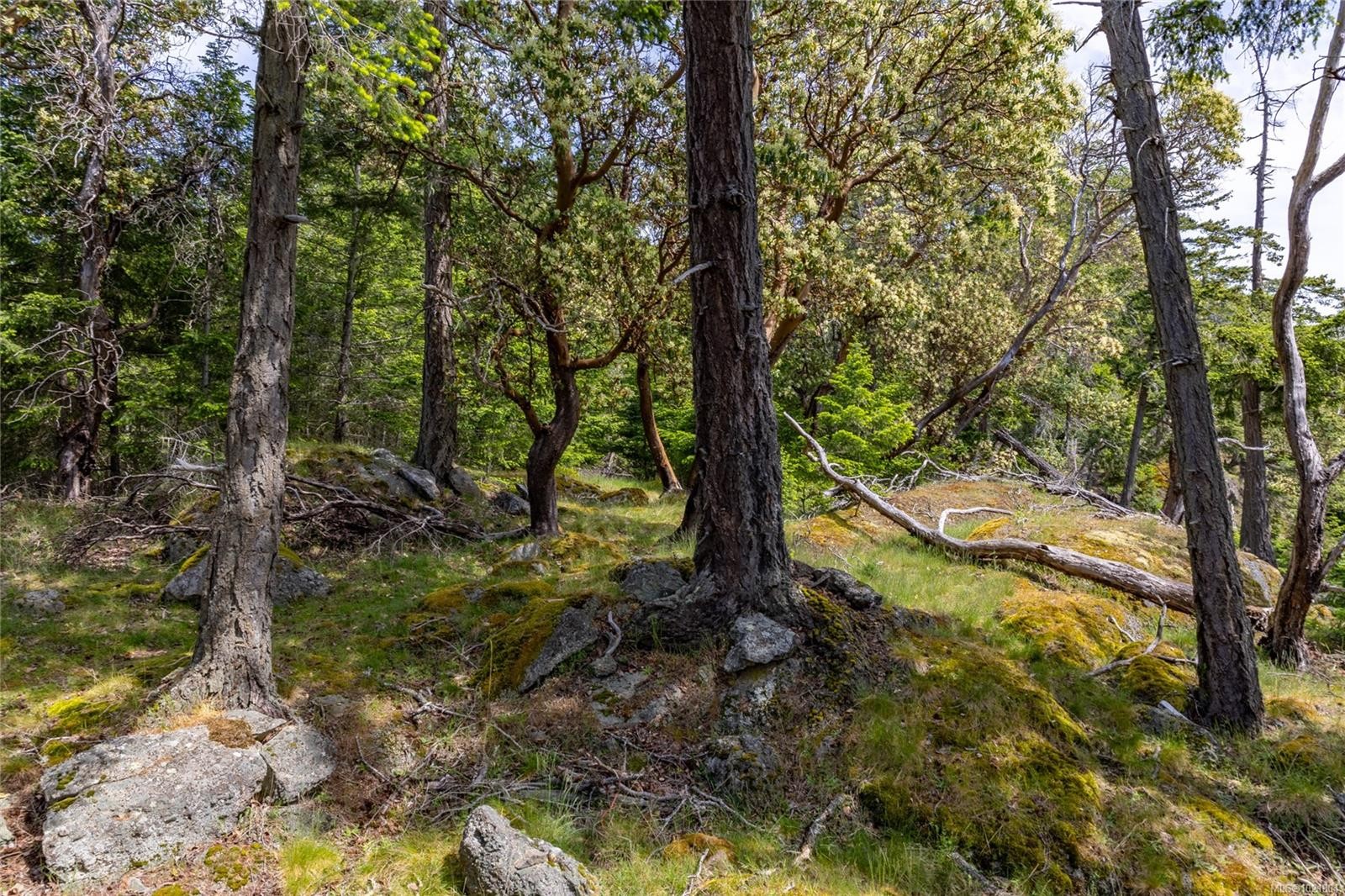 8804 Ainslie Point Rd, Pender Island, BC