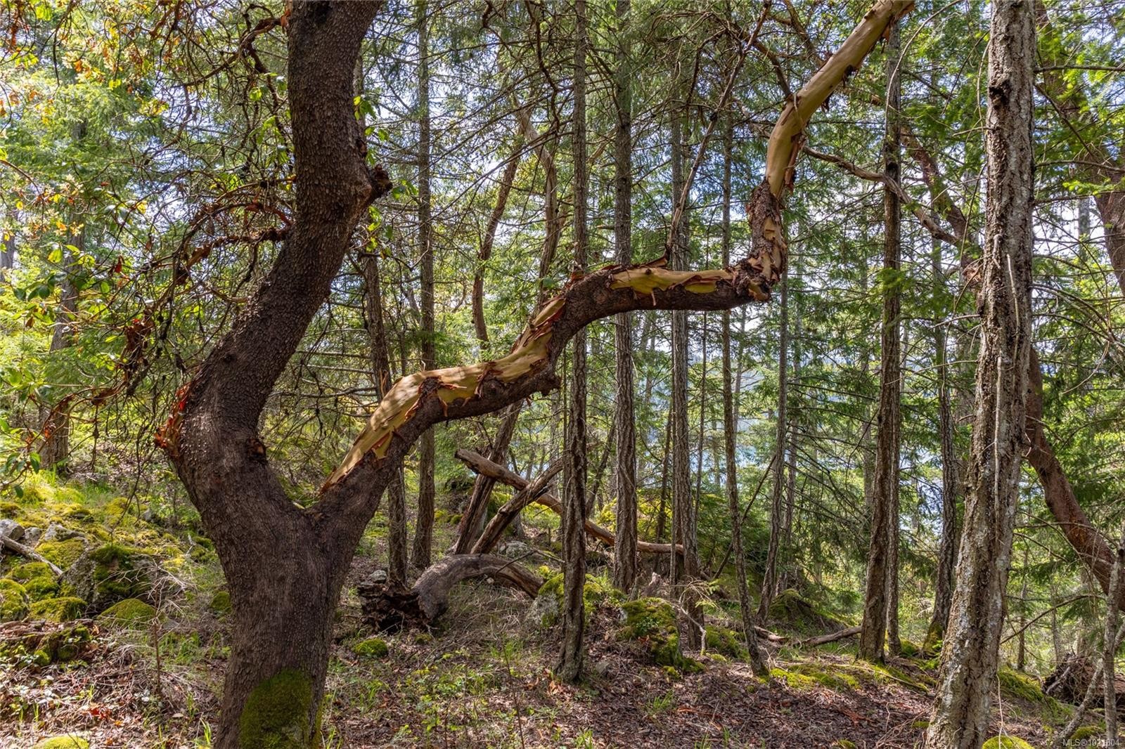 8804 Ainslie Point Rd, Pender Island, BC