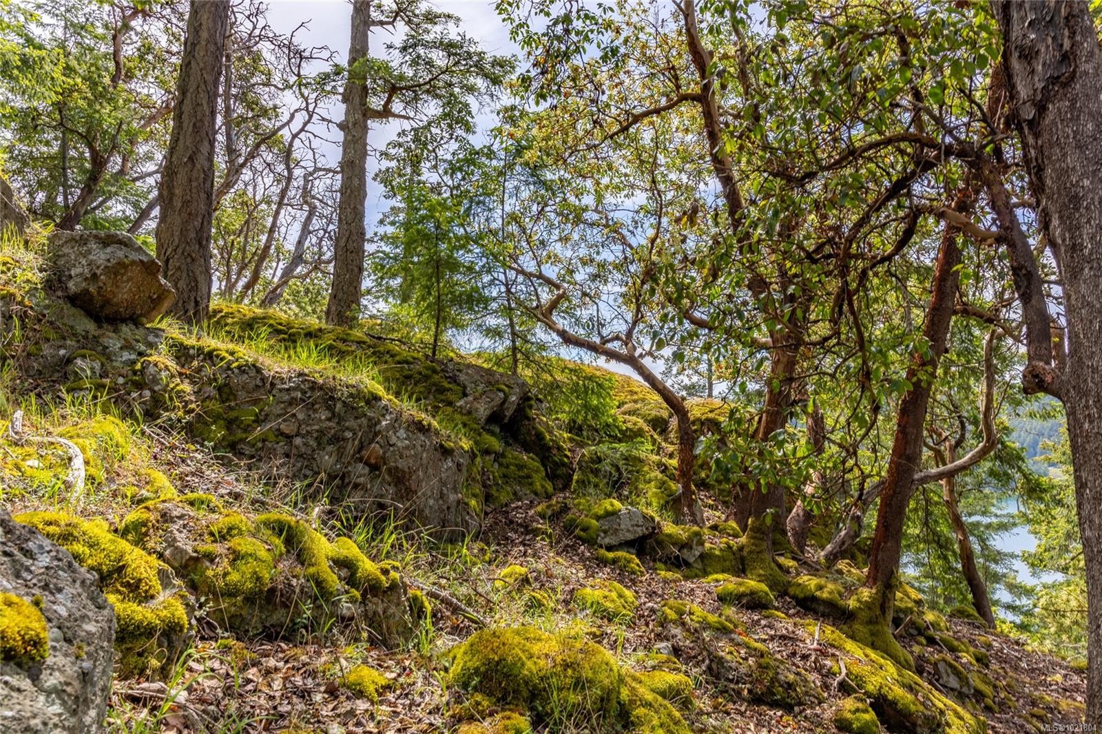 8804 Ainslie Point Rd, Pender Island, BC