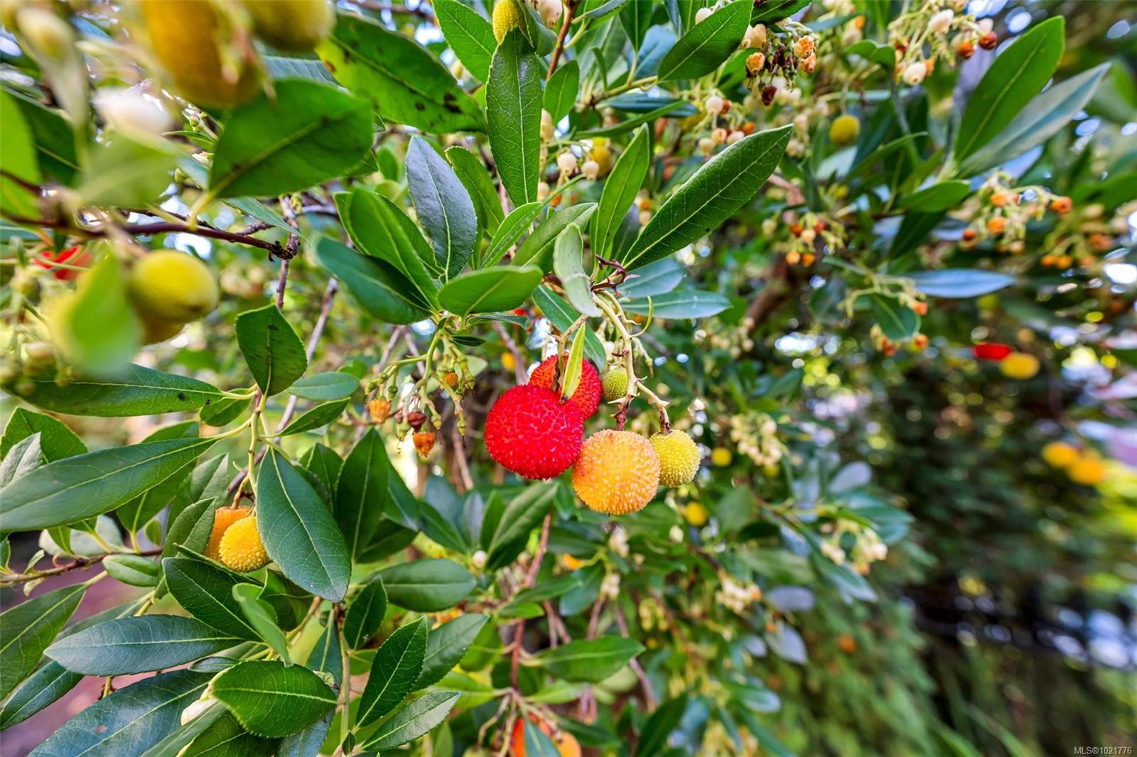 1-630 Brookside Rd, Colwood, BC