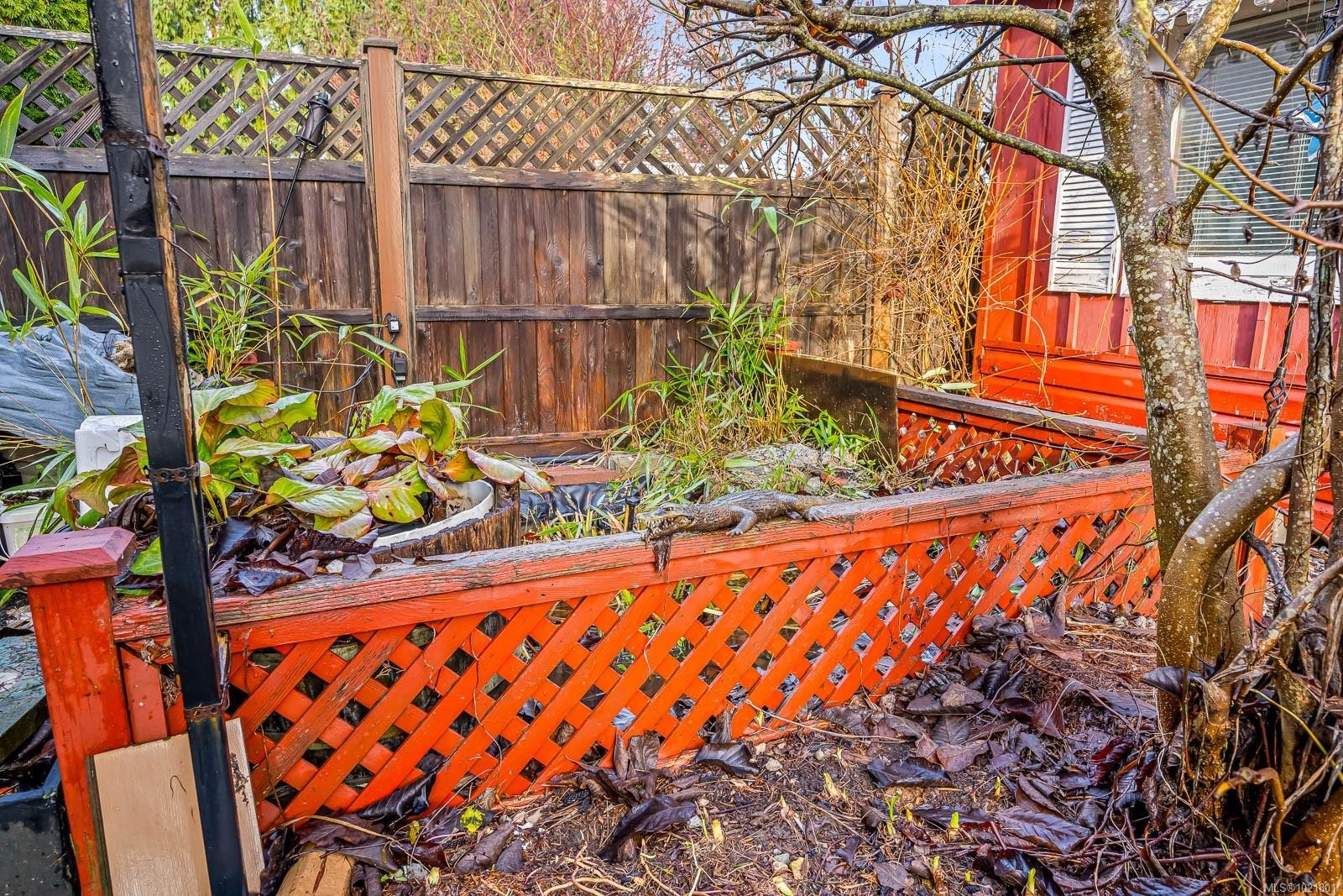 2316B Willemar Ave, Courtenay, BC - Outdoor