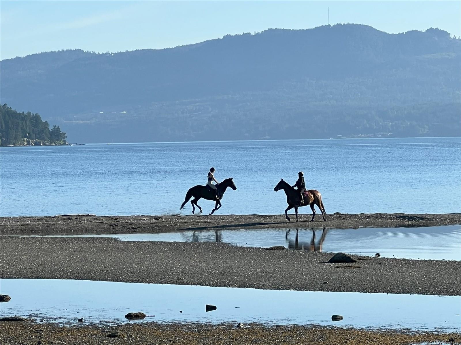 11255 Nitinat Rd, North Saanich, BC