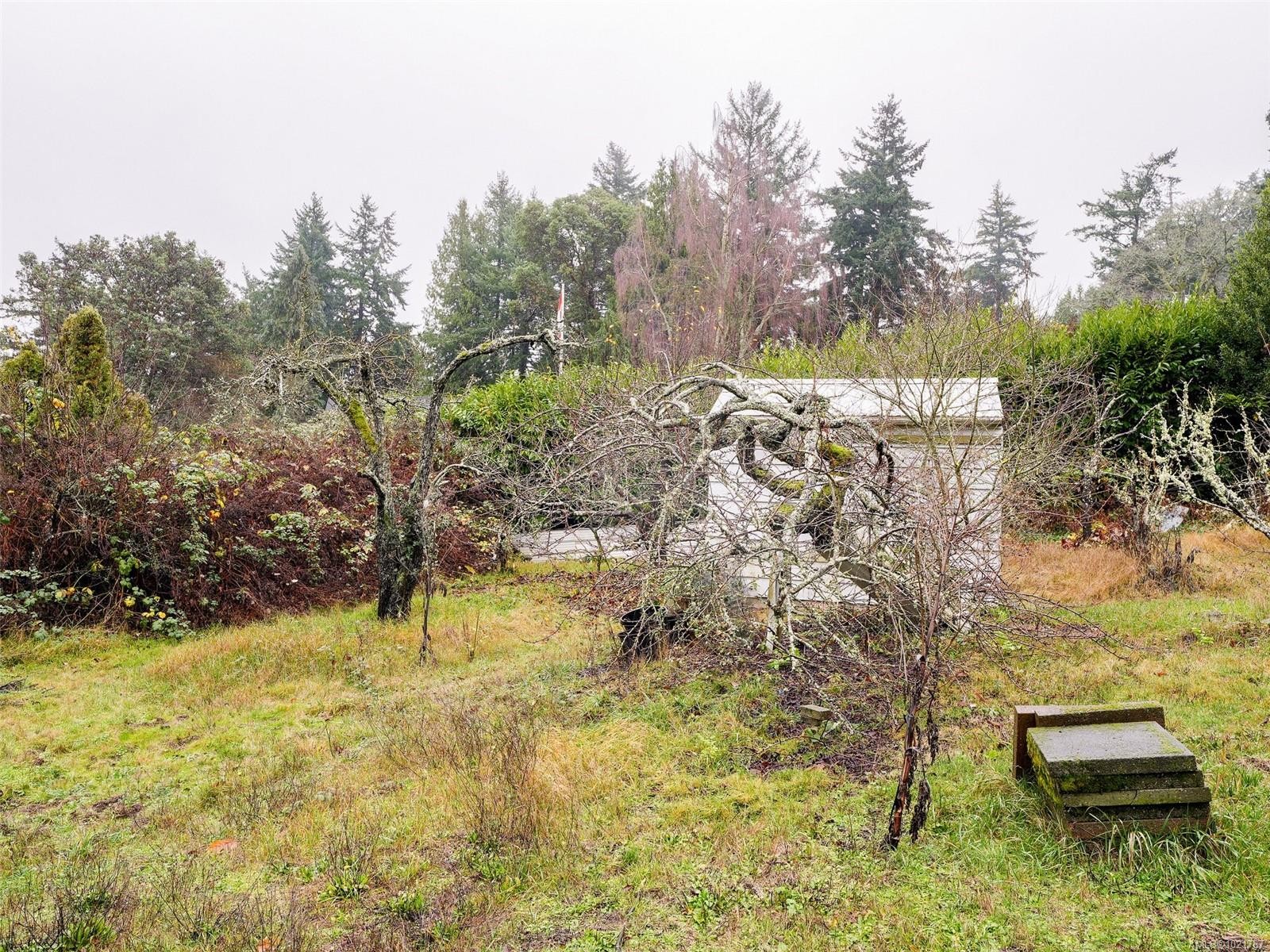 2202 Arbutus Rd, Saanich, BC