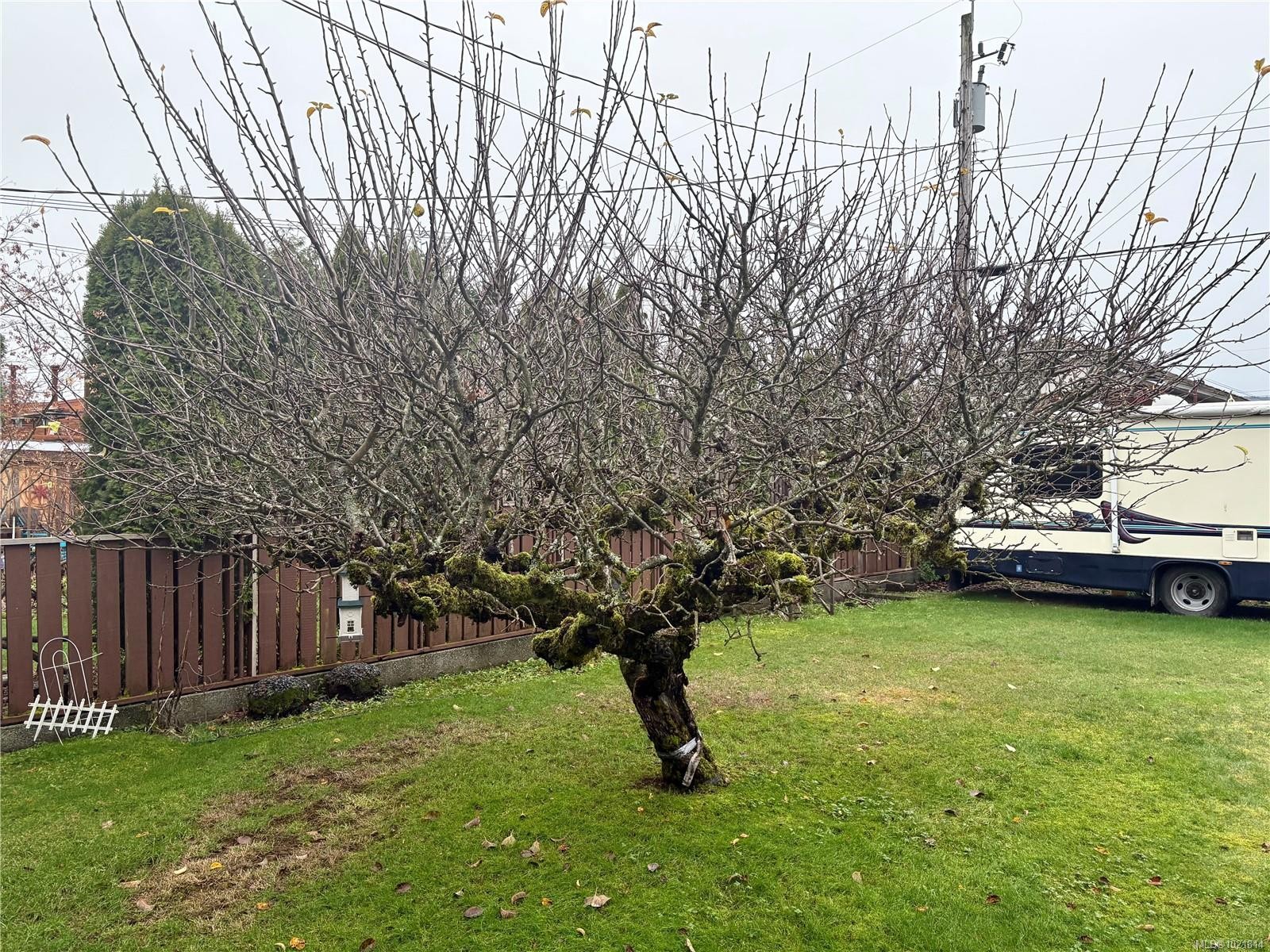 2738 14Th Ave, Port Alberni, BC