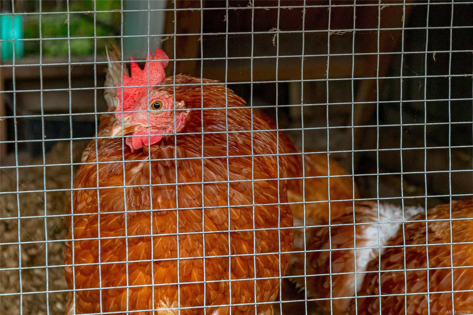 1850 Delanice Way, Nanoose Bay, BC