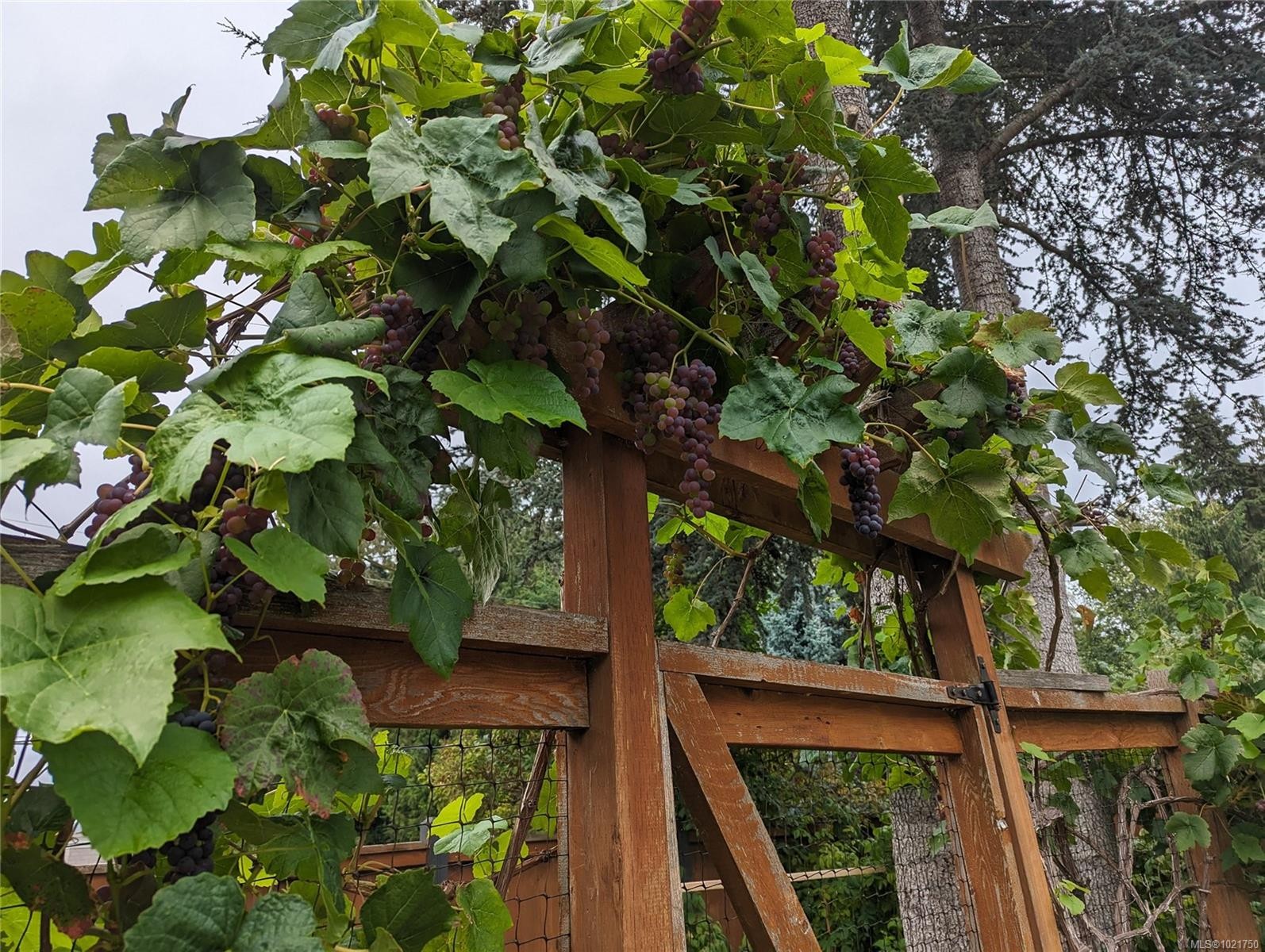 1850 Delanice Way, Nanoose Bay, BC